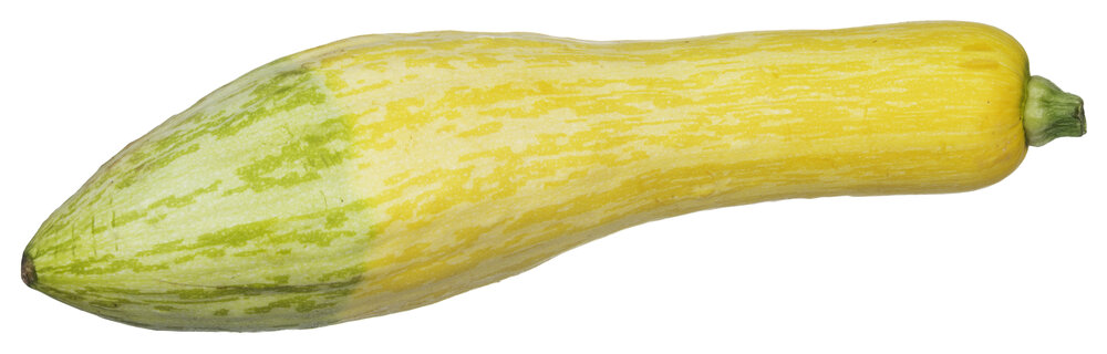 an image of Yellow Squash Seeds