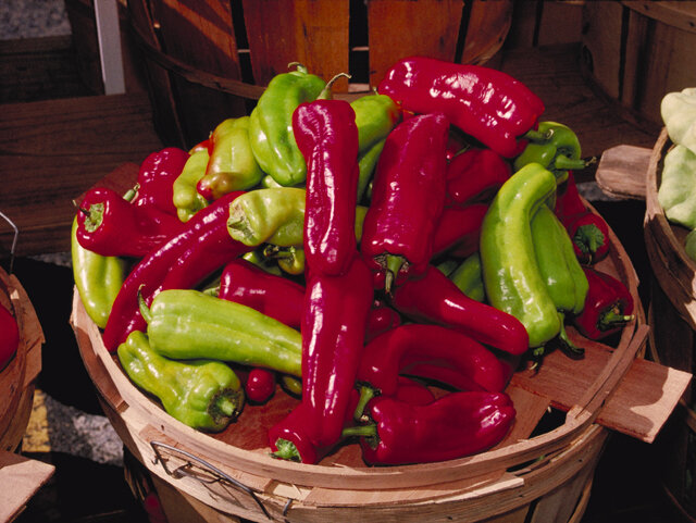 an image of Cubanelle Pepper Seeds