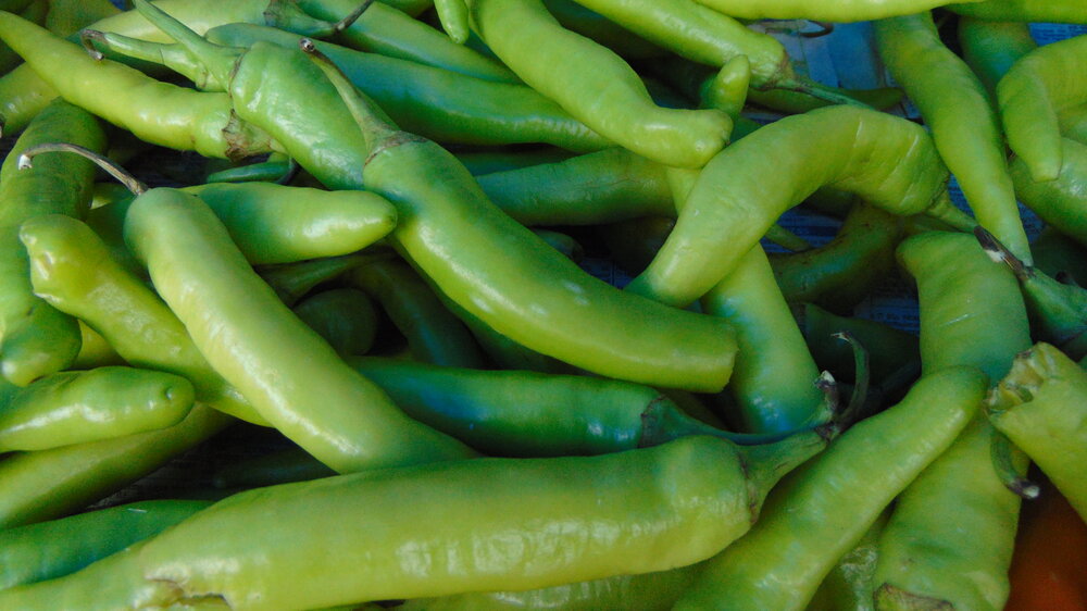 an image of Green Chilies Seeds